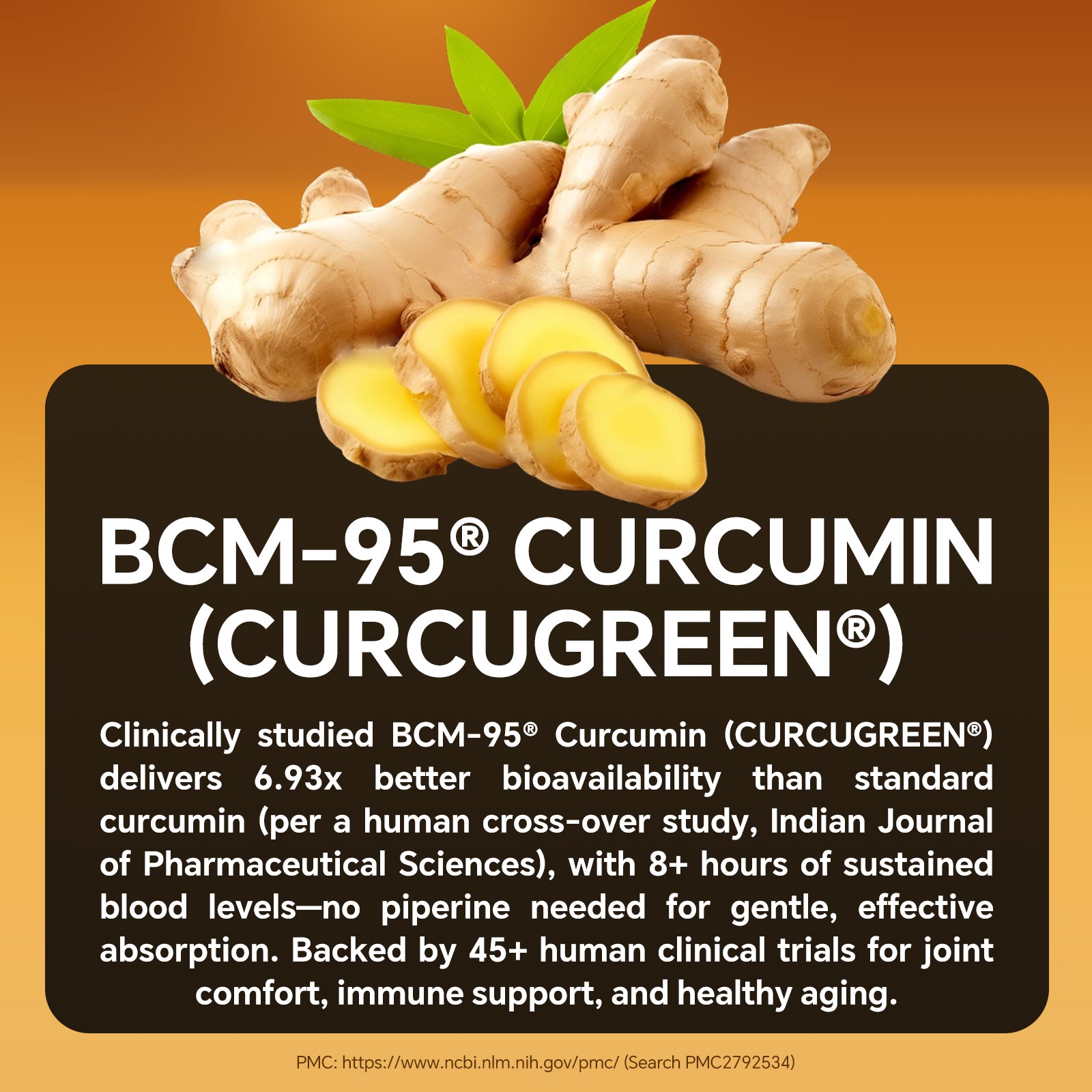LIIFE Turmeric Curcumin Supplement BCM-95® Curcuminoids- 600mg Organic Turmeric with Vitamin D3 Per Serving High Absorption-Non GMO Tumeric Capsules for Joint Support,Bottled in USA - 60 Capsules