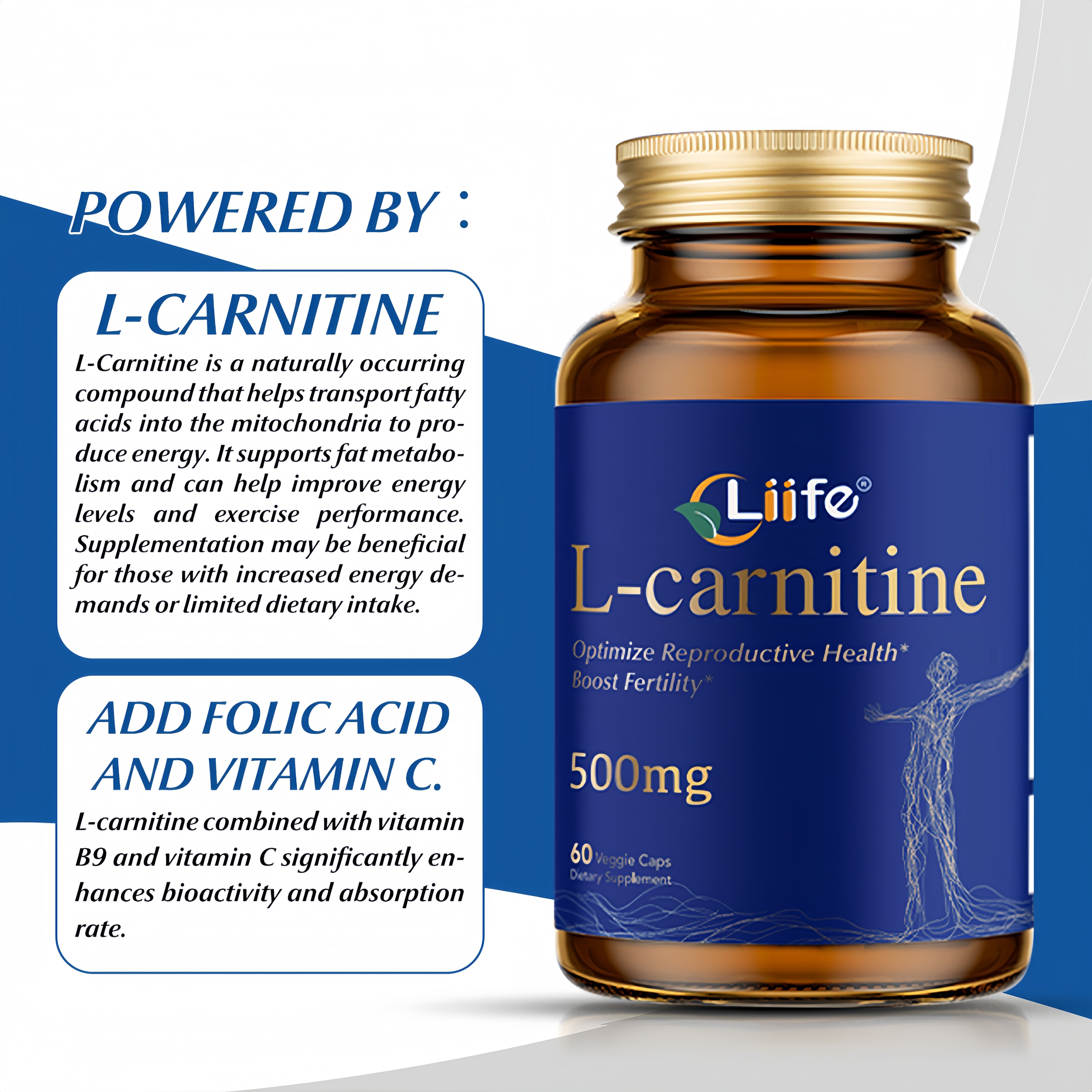 LIIFE L-Carnitine with Folic Acid (Vitamin B9) and Vitamin C,500 mg, 60 Capsules,Supports Healthy Fetal Development, Cardiovascular Function* - Metabolism & Reproductive Health Support*